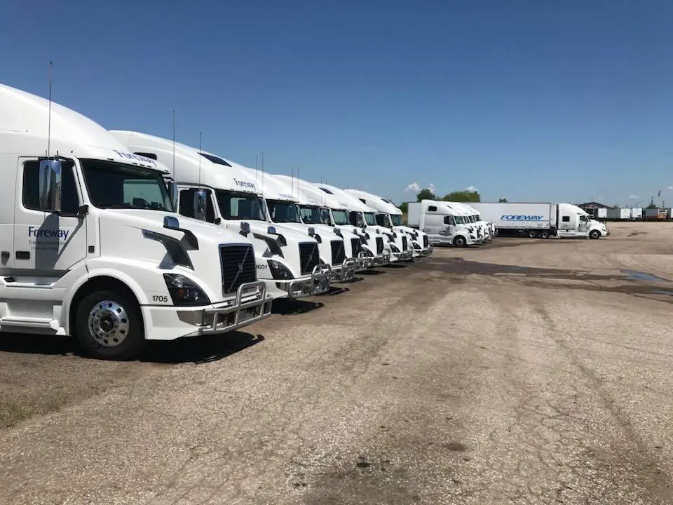 A row of white trucks parked in the dirt.